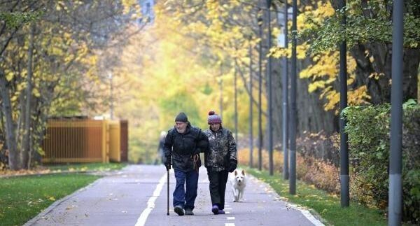 Где в России живет больше всего пенсионеров? Статистика 2026 года