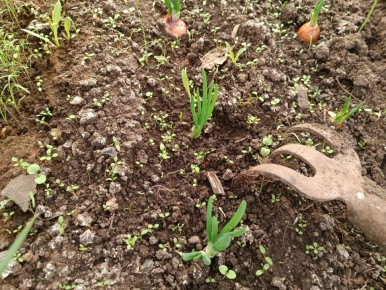 ��� �� ��� ���� ������������� ������ ����� � ����������� �����