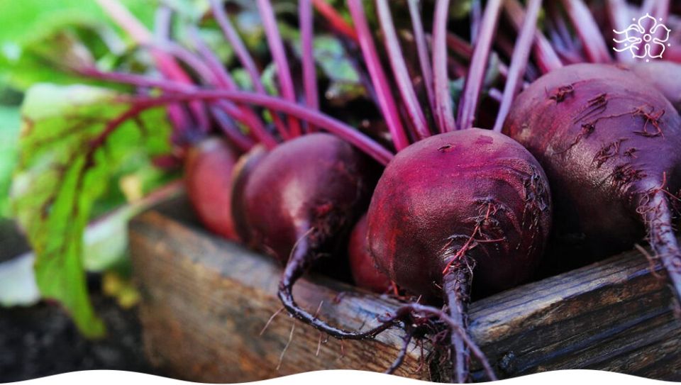 ������� ������: ������ ����� � �������