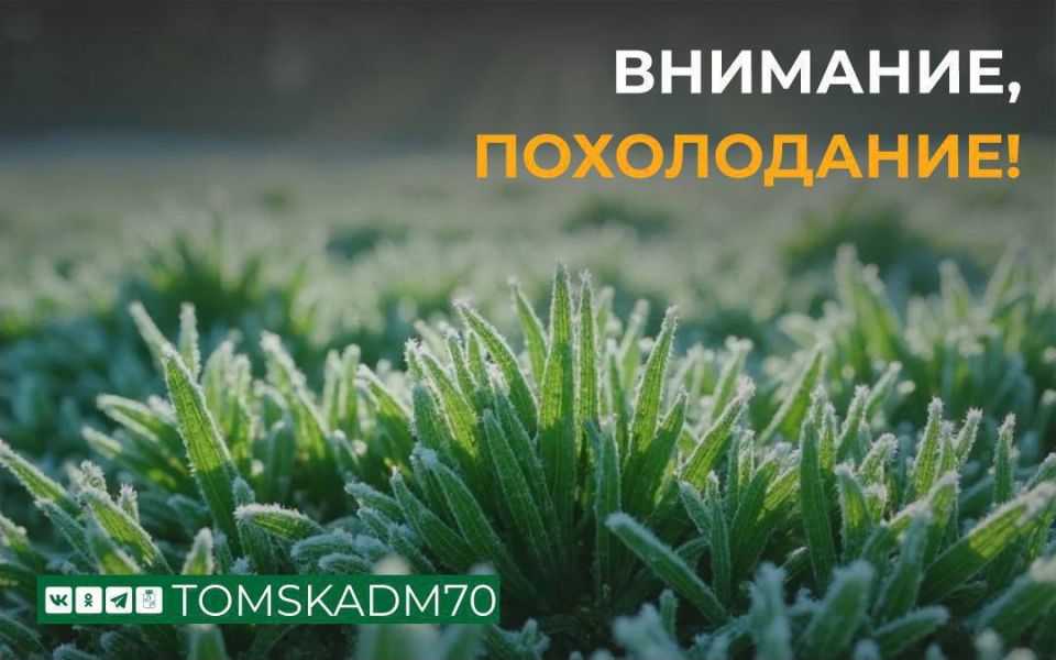 � ������ ��������� ��������� ��������������