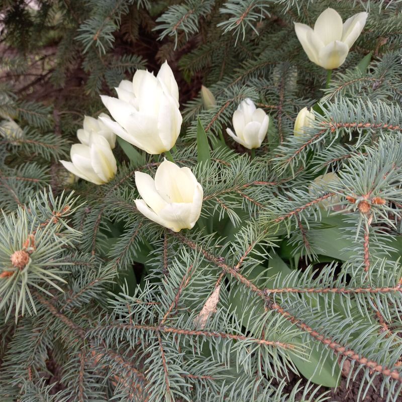 ������� �������� ������� ���������: ��� ��������� ����� ���������� �������