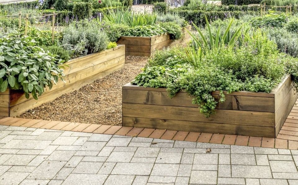 ��� �������� ����� ���������� �������: �������� ������