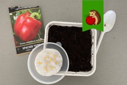 ��� ������� ������� ��� ��� ������ ������: ������ ��� �����������