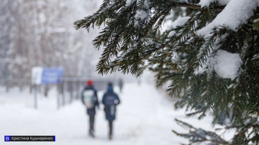 ������� ���������� � ������ �������� �� ������ �������