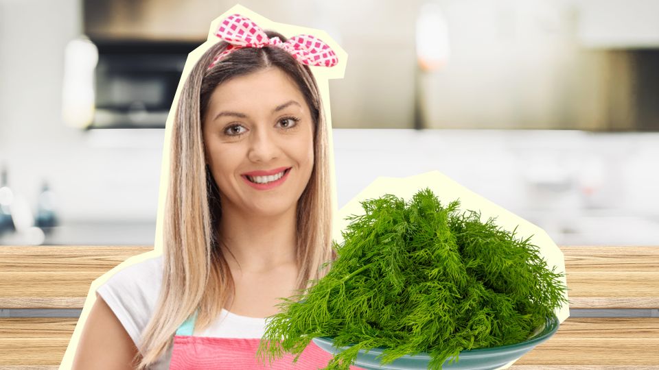 �������� ����� ����� �� ������������: ��� ��� ��� ������� ������� �������