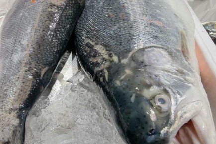 ������ ����� ���� ��������� � ����: ����������� ������� ������������� � ������� � ������