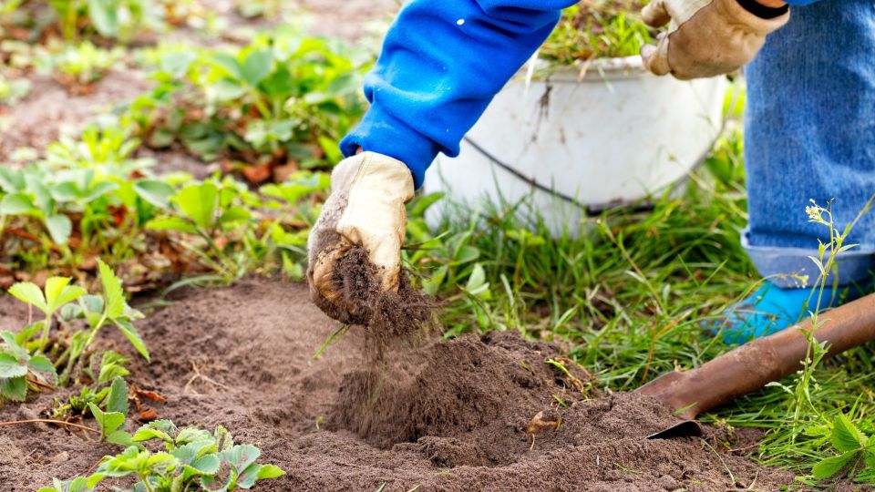 ������ �������� ������ ��� ���: ����� ������ �������� �� ������� �������