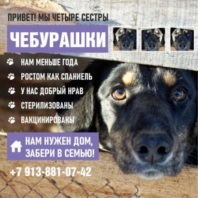 �� ������ ������, � ������ ��� ������� �������� ������������ �� ��� ������� � ������ ����