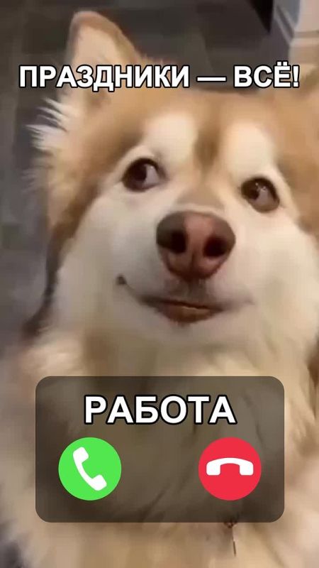 ��� �������� ��� ������ ������� ����������� 2026?