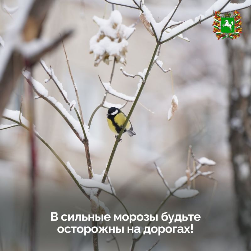 В Томскую область на этой неделе возвращаются морозы