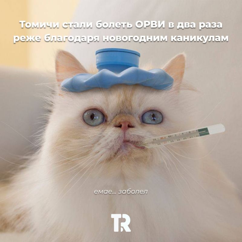 ������ ����� ������ ���� ����� � ��� ���� ����