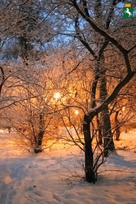 Доброго морозного утра!. Ожидается пасмурная погода, возможен снег