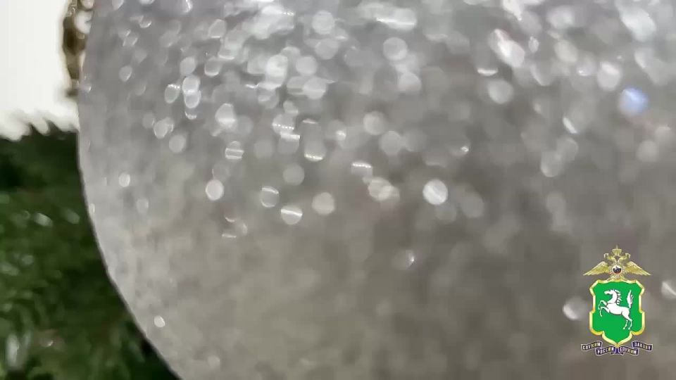 Начальник УМВД России по Томской области генерал-майор полиции Александр Никульников в рамках новогодней благотворительной акции «Ёлка желаний» исполнил новогоднюю мечту девятилетнего Ярослава из Томска - велосипед