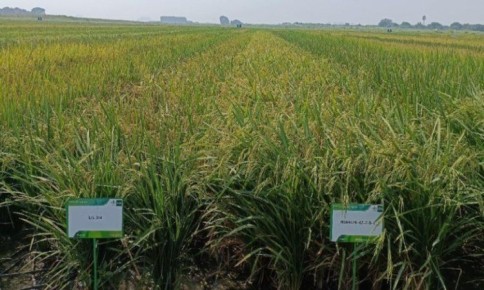 ��������� � ���������: ����� ����� ���� ��� ������� ������ ������ � �����