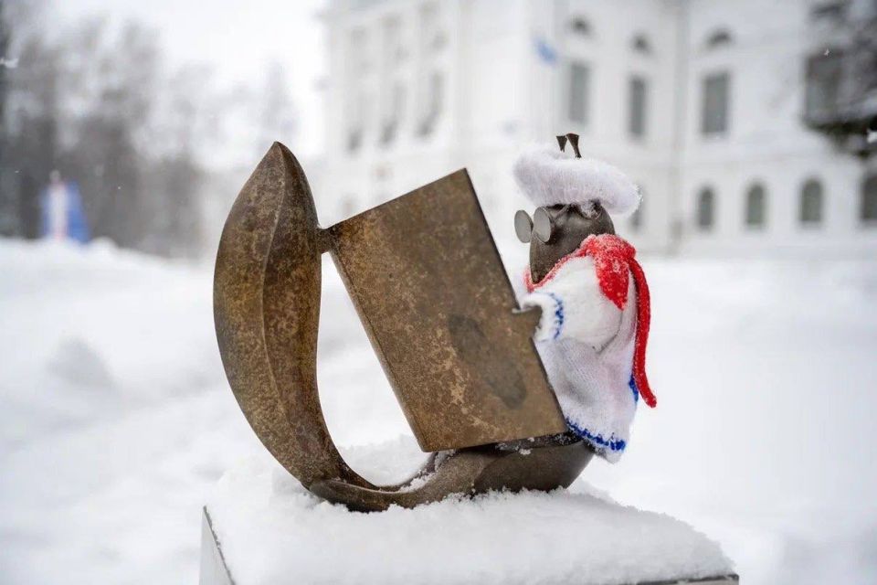 Томские белочки утеплились к морозам
