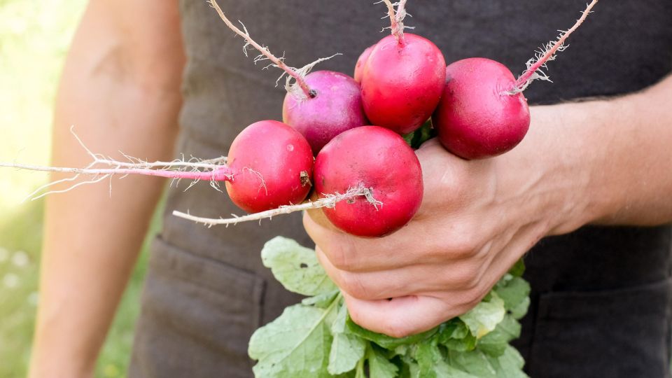 ������ ����� ������ �������� �����: ����� �������� ������� ������ � ���� ����� �� ����