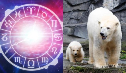 ����� ����������� ����� ������������� ������ ����� �������?