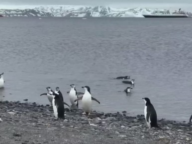 � � ����������, ���� �� ��������, ����� 30 �������