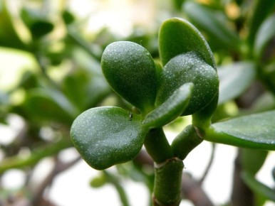 ��� ������� ��������� ������ ������� ��� ��������� ������� � ��������������