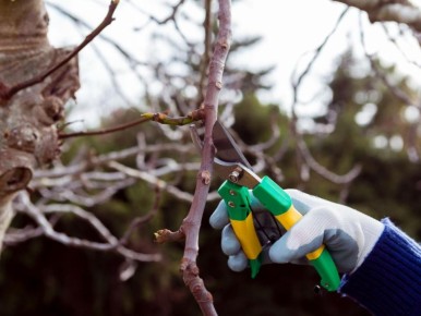 ������ ������� ������: ������� ������ ��� ������ ����