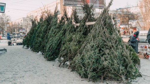 ���� ������ ���������� ���� � ������?