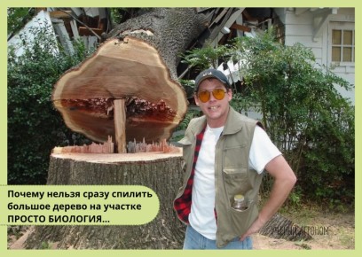 ��������� ������� ����� ��������: ������ ����� ������ ��� ���������