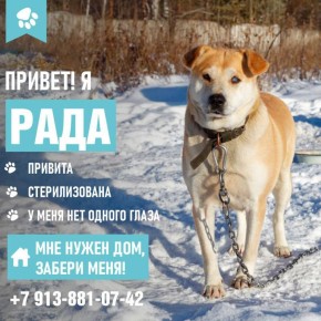 ������, ���� ����� ����.. � ��� ���������, �� ����� ��������. �������� ���� ����, �� ���� ������� ���������. ������� � ���� ������� ������� � ��������� � ������� - ����� ������� ���� ������������. �� ���� �� ��������...