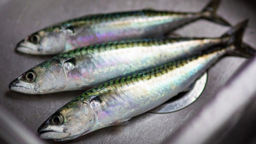 �������� ����� �������, ��� � ��������: ����� ���� �������� �� ���