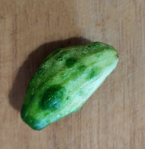 �������� ������: ������������ ������ ��� �������������?