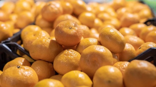 �������� ������: ��������� �� ������� ���������� � �������������