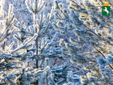 ������ ����!. ��������� ��������� ������