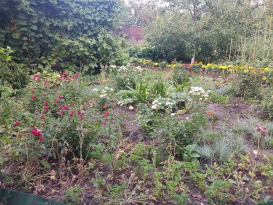 ��� �� ���������� ������: ����� ���������� ������� ������?