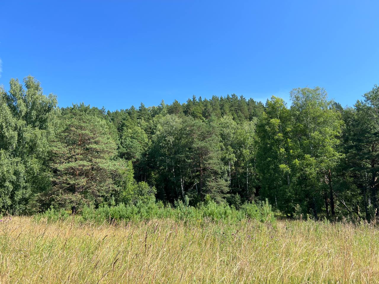 По постановлению прокуратуры Советского района г. Томска должностное лицо городского департамента оштрафовано за нарушение порядка предоставления земельного участка