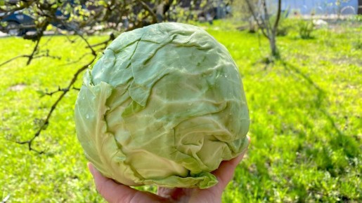 ������ �� �������: ������� � ������� ������ ��� ���� �����