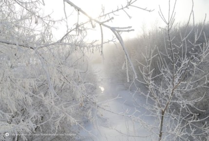 �������� ������, ������� �������!