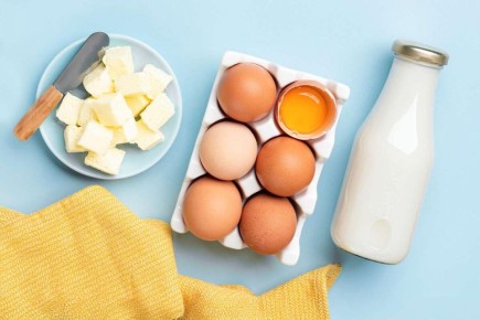 ������ ������������ � �������: ��� �������� ���� � ����� ��� ������ �����