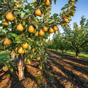 ��� ������ ����� �� ��������: �������� ������ �� ��� ������ �����