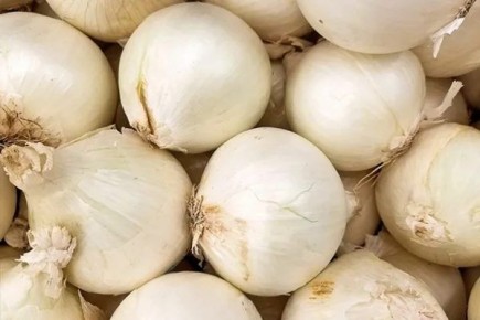 ��� ����� �������: ������� ��������� ����������� � �����