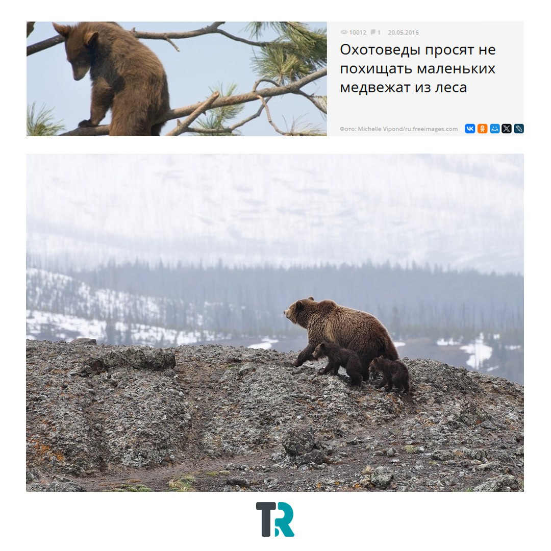 Вот это было время!. Мы тоже не устояли перед ностальгией и заглянули в архивы Tomsk.ru — посмотреть, чем жила редакция десять лет назад Вот это было время!. Мы тоже не устояли перед ностальгией и заглянули в архивы Tomsk.ru — посмотреть, чем жила редакция десять лет назад