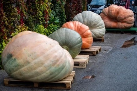 ��� ������� ������ ����������� � ������� � ���������� ����� � ������� �������