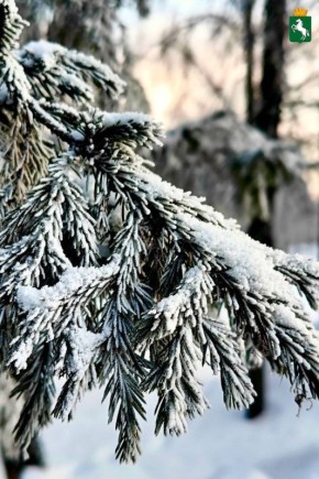 ������ �����!. ��������� ���������� ����������