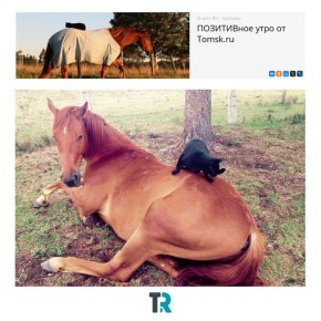��� ��� ���� �����!. �� ���� �� ������� ����� ����������� � ��������� � ������ Tomsk.ru � ����������, ��� ���� �������� ������ ��� �����