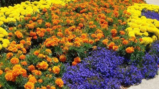 ��� �������� �������� ������������ � ���� � �� �������