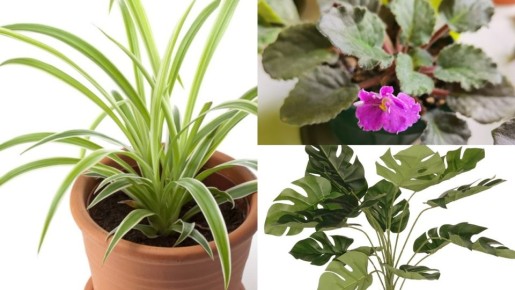 ���������� ������ ��������: ��� ������������� ������ �� �������� ������