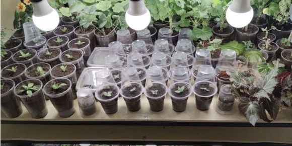 ����� ��������� ������� �� �������: ��� ����� ����������� ����� ��� ���������� � ��������� ������