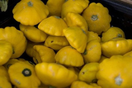 Почему патиссон Копейка покоряет огороды