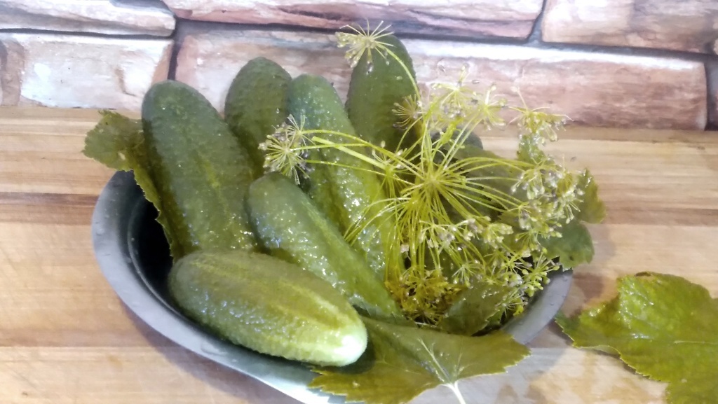 Как засолить огурцы: секреты и рецепты на зиму