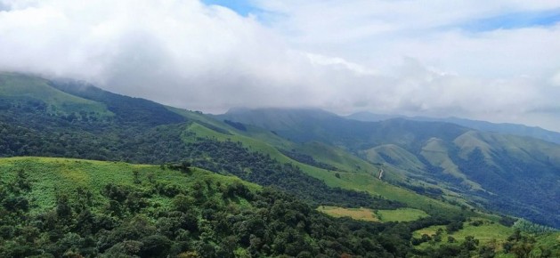 ��������� ����: ����� ������ � ��������� � ������ �����