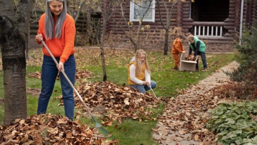 ������� ��������� ����: ������ �� ������ �� �������� � ����������