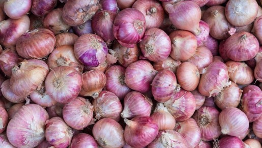 � �������� �������� ��� ����� ��� ��������: ��������� ������ ����� ����� �����